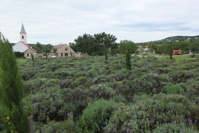 Archív / Workshop na regionálny rozvoj samosprávy z pohľadu LEADER-a - foto